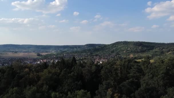 Survoler Les Arbres Pour Avoir Une Vue Sur Petit Village — Video