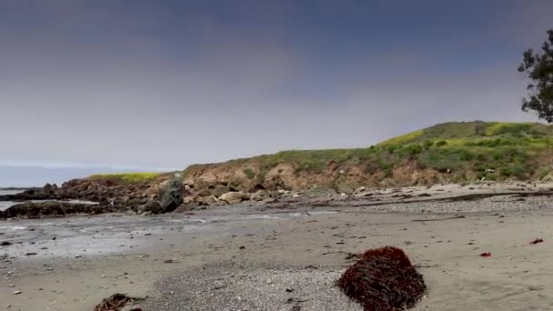 Strandutsikt Från Stranden — Stockvideo