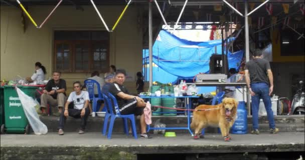 一群人坐在水边的一家商店里 牵着一条狗 — 图库视频影像