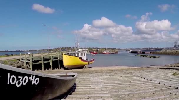 Rybářská Flotila Přivázaná Molu — Stock video