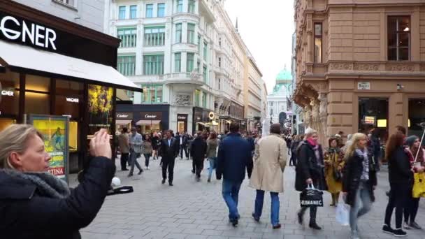 Wiedeń Austria Centrum Miasta — Wideo stockowe