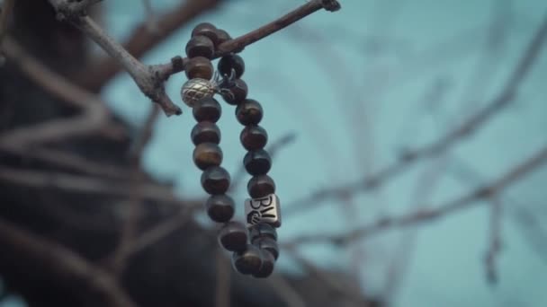黄昏时分 在沙漠的树枝上挂着一个珠状的手镯 — 图库视频影像