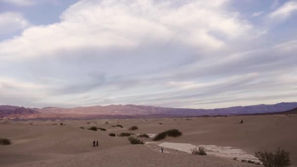 Hermosa Panorámica Través Del Paisaje Dunas Del Desierto Parque Nacional — Vídeos de Stock