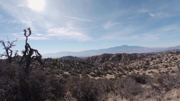 Ongelooflijk Uitzicht Het Woestijnlandschap Van Joshua Tree National Park Een — Stockvideo