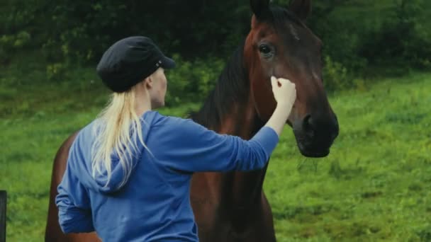 Jovem Loira Acariciando Cavalo Crina Preto Estocolmo Suécia — Vídeo de Stock