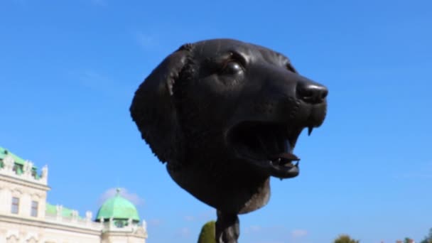 Άγαλμα Σκύλου Στο Palcio Belvedere Βιέννη Αυστρία — Αρχείο Βίντεο