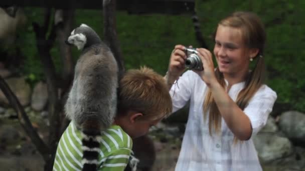 Lemur Colocado Ombro Uma Criança Enquanto Uma Menina Tira Fotos — Vídeo de Stock