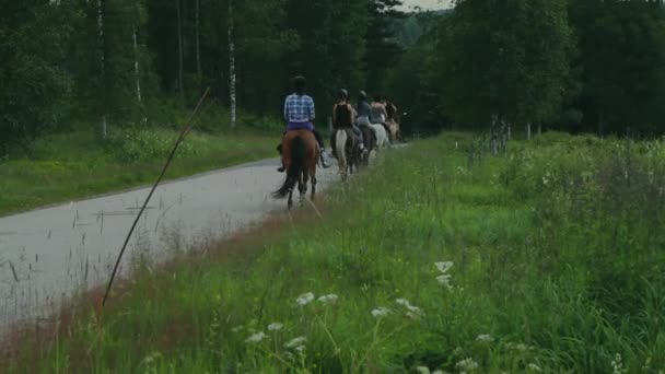 Pessoas Montando Cavalos Uma Estrada Lado Campo Grama Estocolmo Suécia — Vídeo de Stock