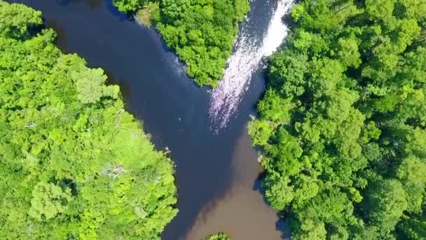 Top Drone View Two Rivers Διασταύρωση Έναν Βάλτο Στη Νέα — Αρχείο Βίντεο