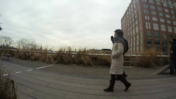 High Line Zeitraffer Der Vorbeigehenden Menschen — Stockvideo