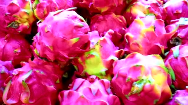 Dragon Fruit Markt Voor Fruit — Stockvideo