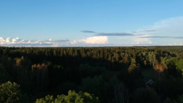 Vliegend Een Bosje Bij Een Snelweg Andere Wegen Met Weinig — Stockvideo