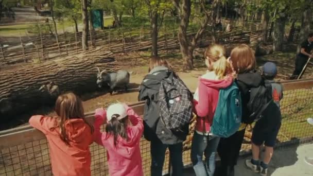 Crianças Vigiar Uma Cabra Num Recinto Zoológico Estocolmo Suécia — Vídeo de Stock