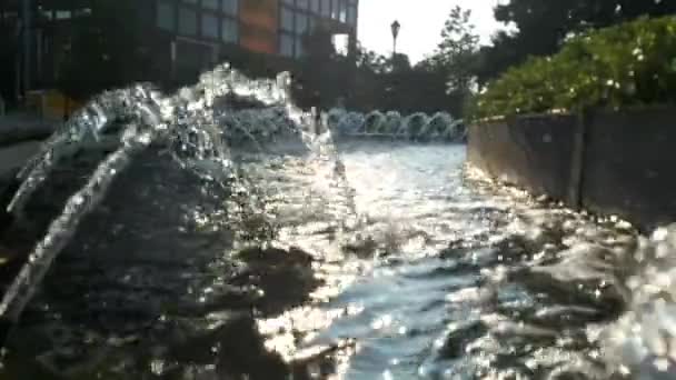 夕日と池の両方のショット34番街ハドソンヤード — ストック動画