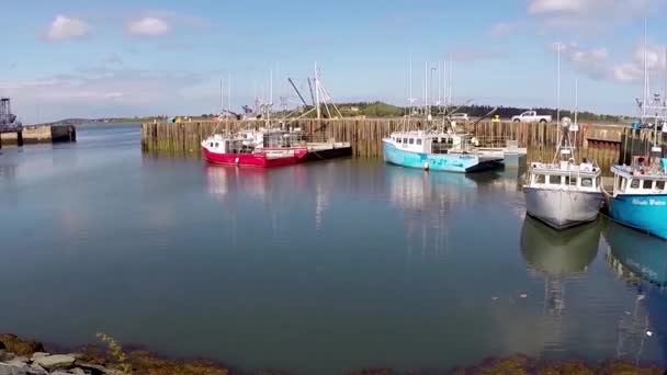 Rybářská Flotila Přivázaná Molu — Stock video