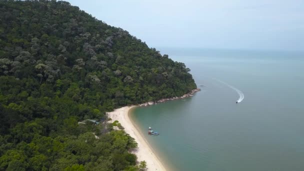 Veduta Aerea Una Spiaggia Malese Foresta Pluviale — Video Stock