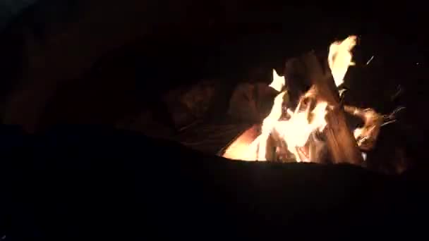 夏の夜に燃えさかるたき火を裂く キャンプファイヤーはきっとあなたの心とあなたの周りの人々を暖めることができます マシュマロを忘れずに — ストック動画