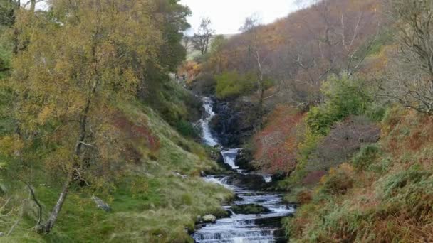 Ένα Welsh Stream Πέτρες Και Πέτρες Νερό Που Ρέει Πάνω — Αρχείο Βίντεο