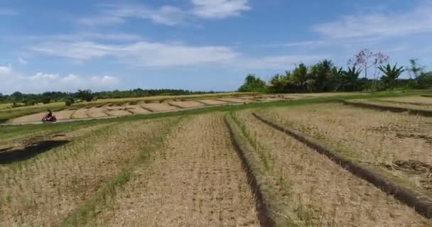 Szybkie Zdjęcia Lotnicze Skutera Przejeżdżającego Przez Ulicę Potem Odkryte Niesamowite — Wideo stockowe