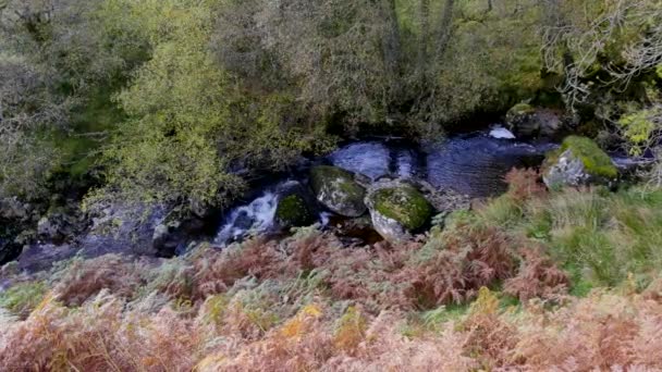 Валлийский Ручей Скалами Камнями Водой Текущей Течению Съемки Летом — стоковое видео