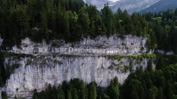 Volo Vicino Alla Scogliera Sugli Abeti — Video Stock