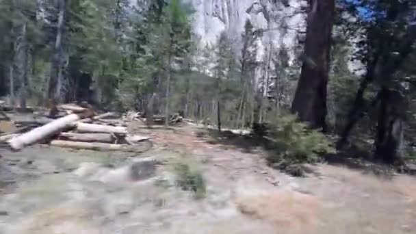 Yosemite Unidad Parque Nacional — Vídeo de stock