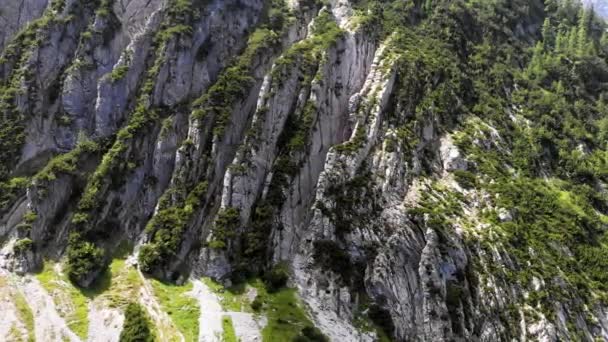 Alpes Austríacos Naturaleza — Vídeos de Stock