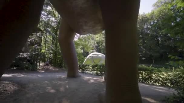 Grote Dinosaurussen Een Meer Een Bos — Stockvideo