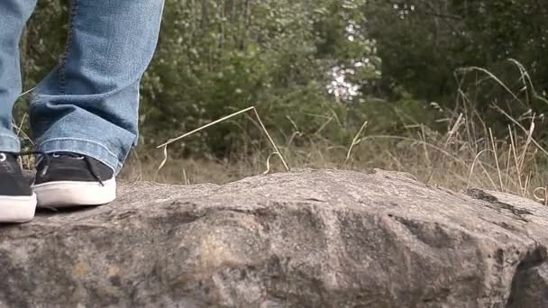 Μια Γυναίκα Στέκεται Ένα Βράχο Στο Δάσος — Αρχείο Βίντεο