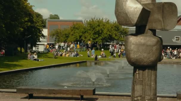 从广阔的视角看学生们在大学校园的喷泉周围放松 大学生活和新的学生导向概念 朋友们在外面玩 — 图库视频影像