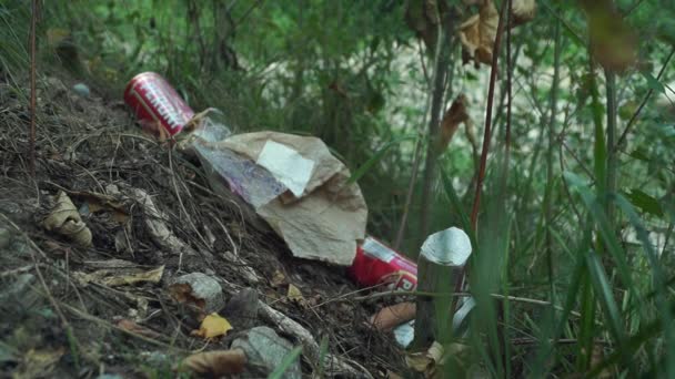 留在大自然中腐烂的垃圾 — 图库视频影像