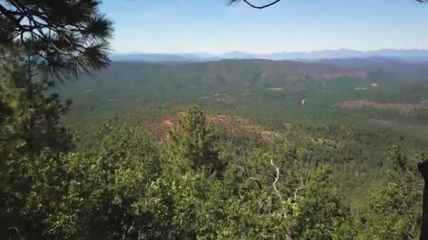 Latanie Nad Mogollon Rim Apache Sitgreaves National Forest — Wideo stockowe