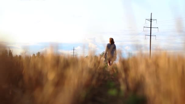 小麦畑を歩く女性に焦点を当てる — ストック動画