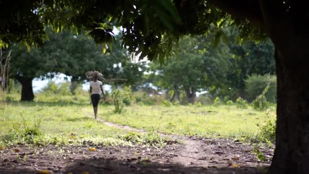 Tanzanian Fata Aduce Lemn Pentru Găti — Videoclip de stoc