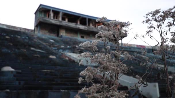 俄亥俄州阿克龙市被遗弃的垃圾箱 原来的大学足球场已经沦陷成一片废墟 被大自然撕碎了 — 图库视频影像