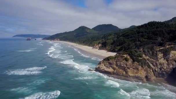 崖や海の波とオレゴン州沿岸のリモートビーチの空中ショット — ストック動画