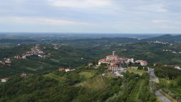 Панорамный Вид Смартно Горской Брде Словения Сверху Окружающими Виноградниками Оливковыми — стоковое видео