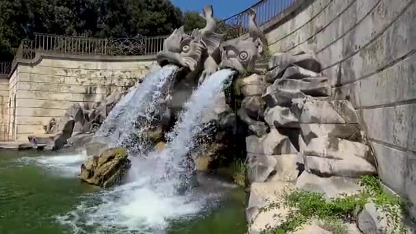 Královský Palác Caserta Fontána Dolphin — Stock video