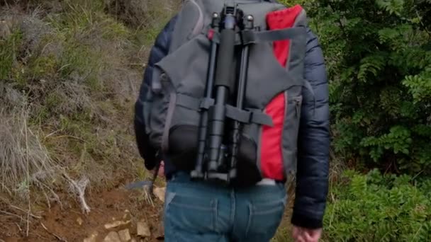 Hombre Fotógrafo Excursionista Con Mochila Trípode Caminando Por Sendero Rodeado — Vídeos de Stock