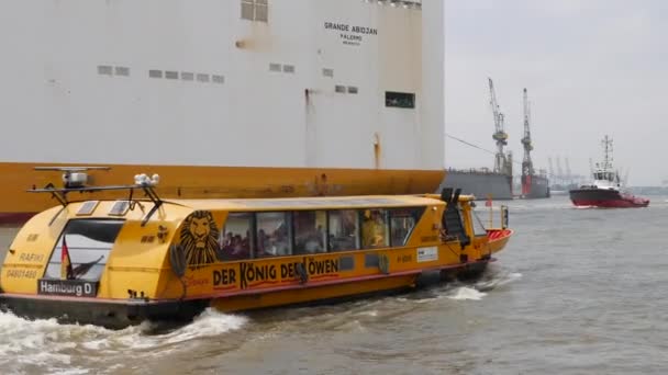 Containership Grande Abidjan Grimaldi Lines Tól Hamburgi Kikötőbe Fut Nap — Stock videók