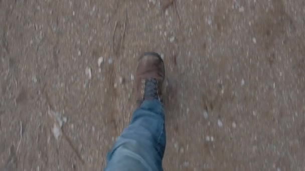 Ανδρικές Μπότες Πεζοπόρου Που Περπατούν Μονοπάτι — Αρχείο Βίντεο