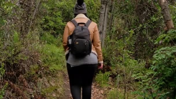 Joven Morena Vestida Invierno Caminando Por Estrecho Sendero Rodeado Bosque — Vídeos de Stock