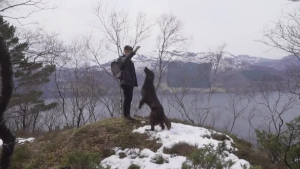 身穿灰色夹克的男人 背景是带着峡湾和雪山的巧克力扁平外壳的猎犬 — 图库视频影像