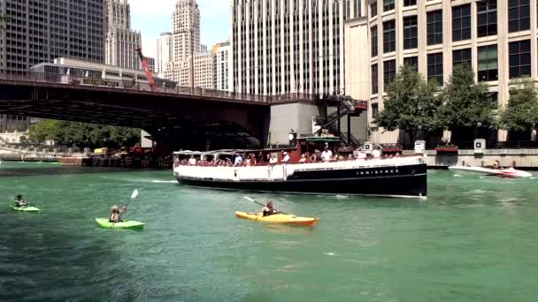 Nsanlar Yaz Günü Chicago Nehrinde Kayıkla Gezmenin Kayıkla Gezmenin Keyfini — Stok video