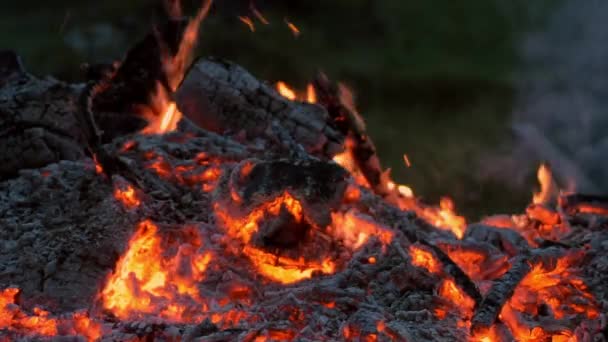 Kis Lángok Természet Ösvénye Közelében — Stock videók