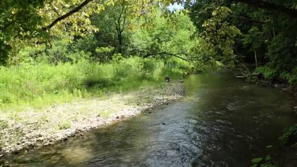 Nog Steeds Shot Van Rivier Beek — Stockvideo