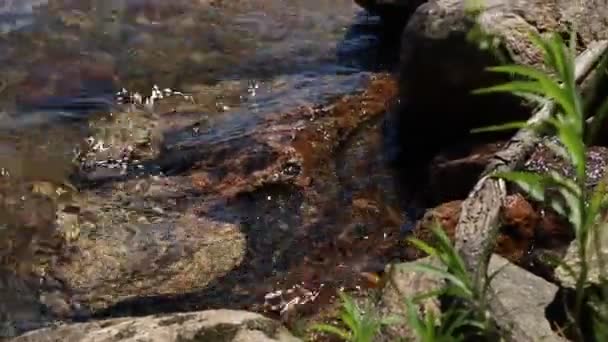 Primer Plano Agua Corriendo Sobre Rocas Lago — Vídeos de Stock