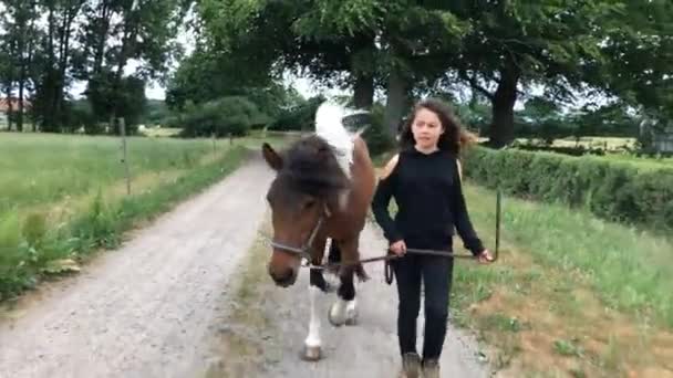 Menina Bonito Com Seu Cavalo Suécia Rural — Vídeo de Stock