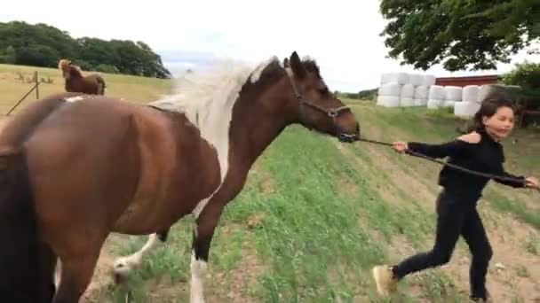 Schattig Meisje Met Haar Paard Het Platteland Van Zweden — Stockvideo