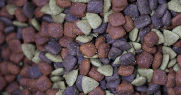 Dog Food Pile Your Puppy — Stock Video